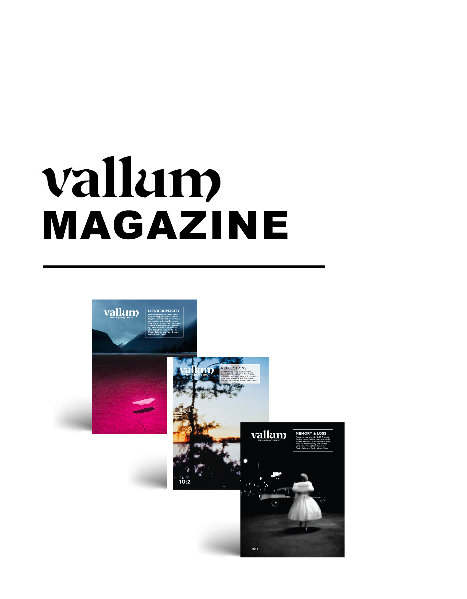 SUBSCRIBE TO THE MAGAZINE - Vallum Magazine