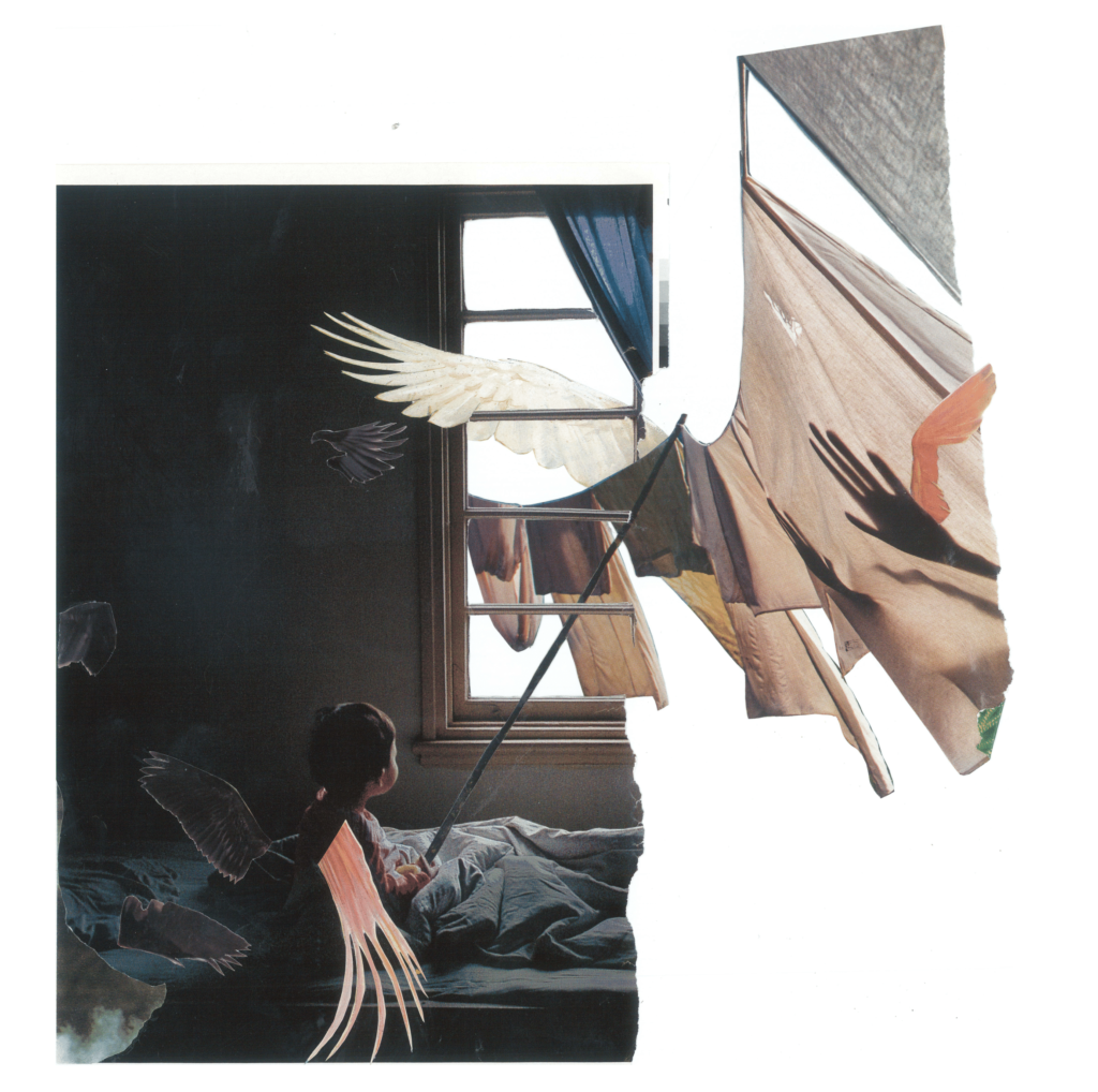 collage: a small child on a bed, near a window, holds up a fishing pole, which holds up a line of laundry that enters the bedroom. a white wing reaches for a small black bird flying in through the window in the background.